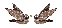 ptaci